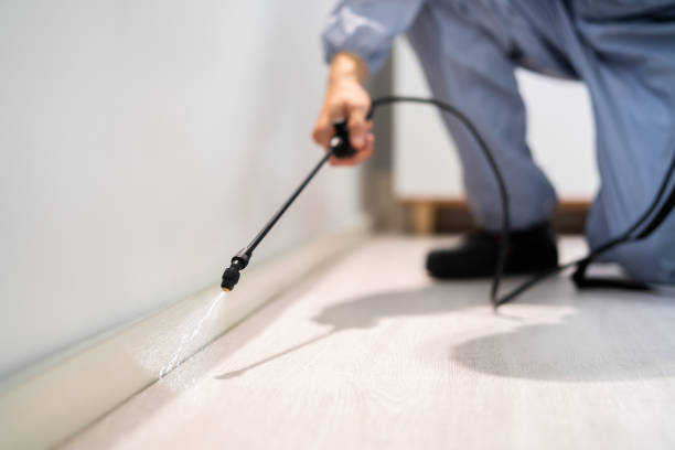 Licensed Pest Control service in Takoma Park, MD - Show Me Pest Control