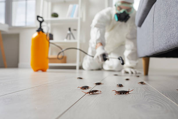 Post-Treatment Bed Bug Interceptor Monitoring in Takoma Park