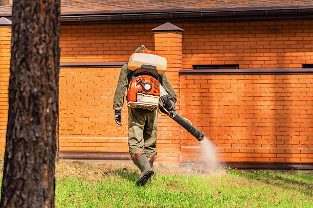 Bed Bug Clearance Verification and Documentation in Takoma Park